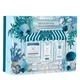 Detox Ritual (worth £64.00)